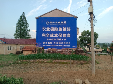 平和墙体广告的优劣势你知道吗？